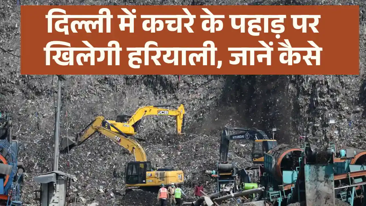 bhalswa landfill green