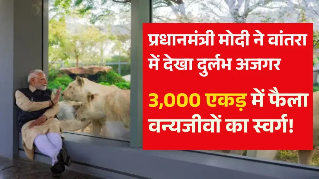 vantara-jamnagar-wildlife
