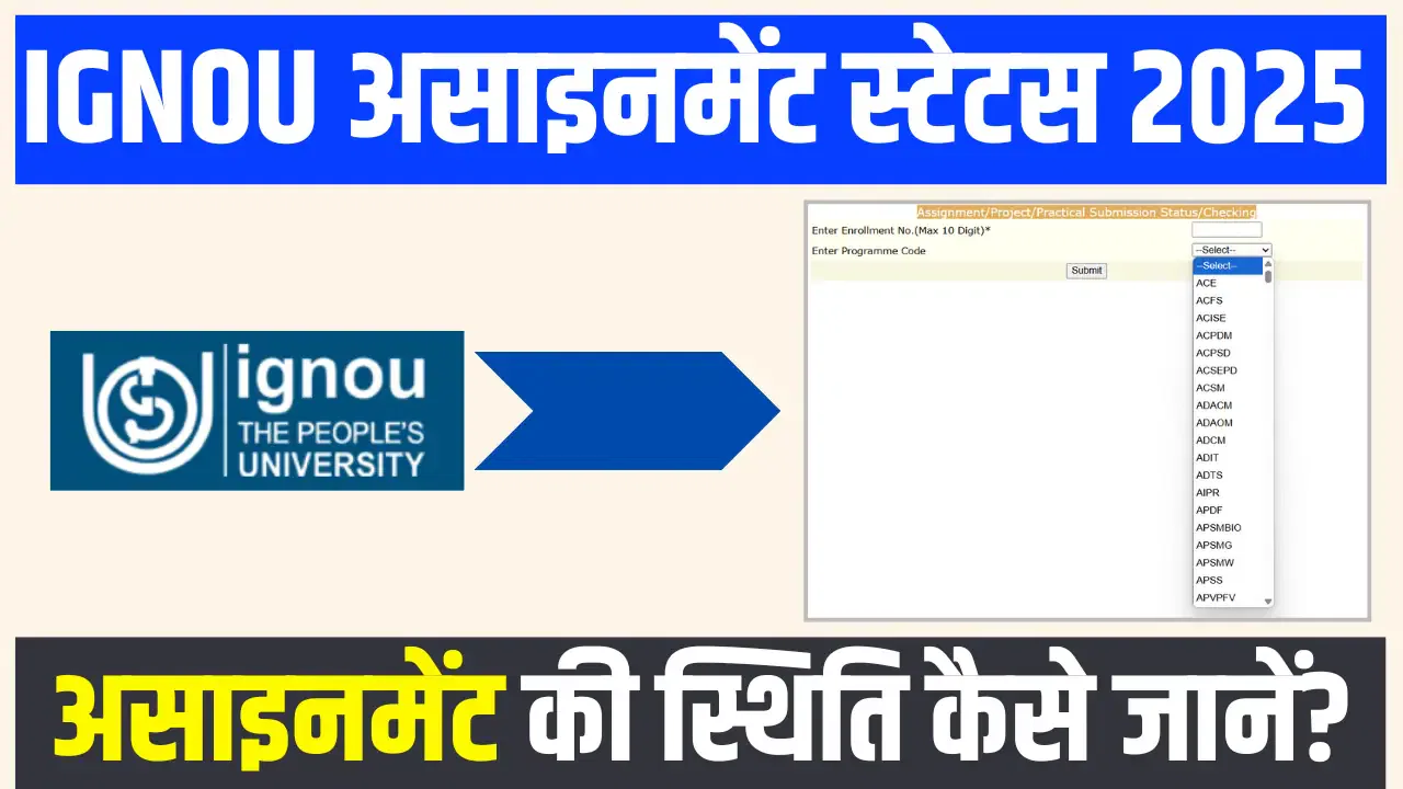 Ignou Assignment