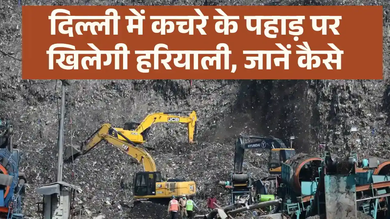 bhalswa landfill green