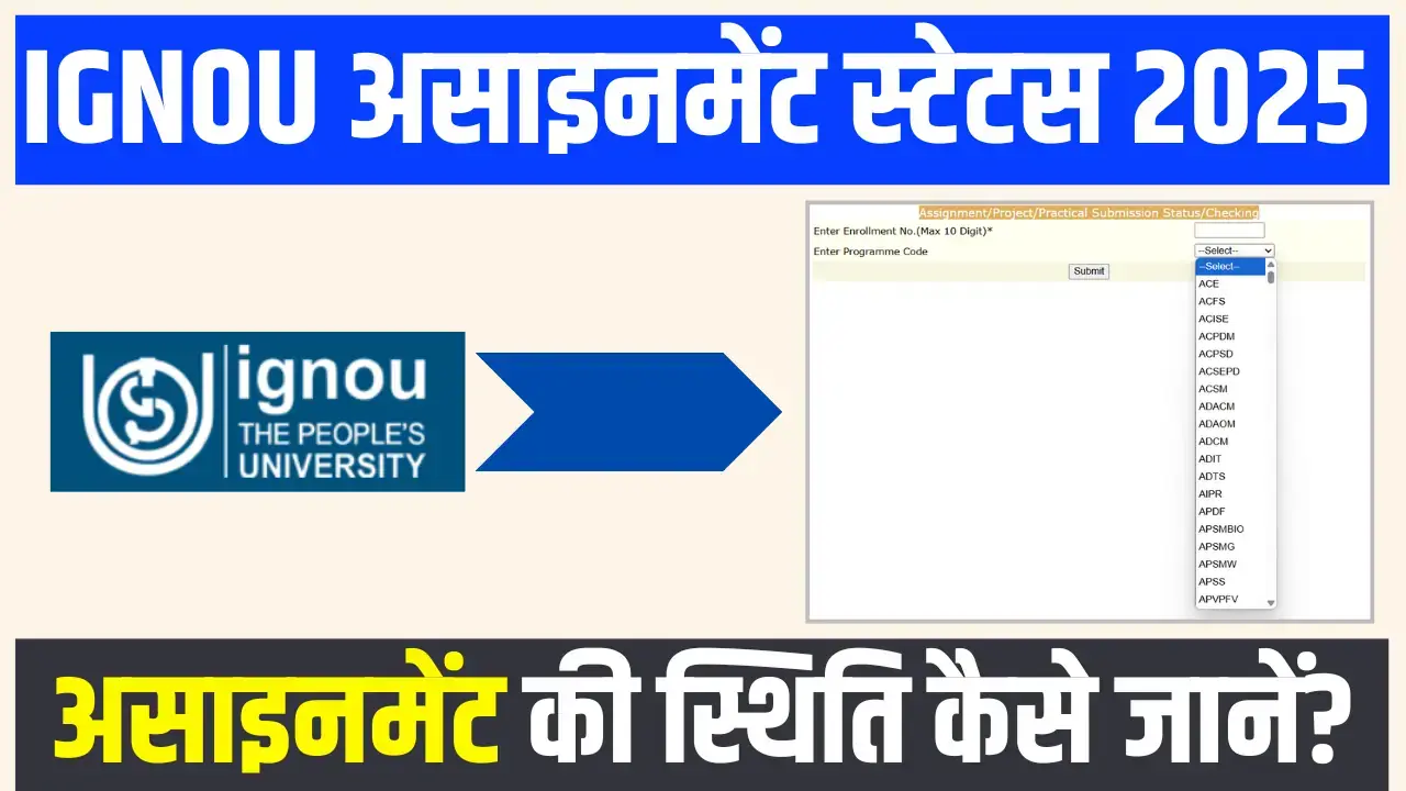 Ignou Assignment